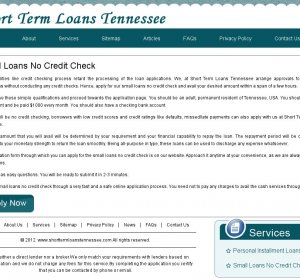Small loans no credit check