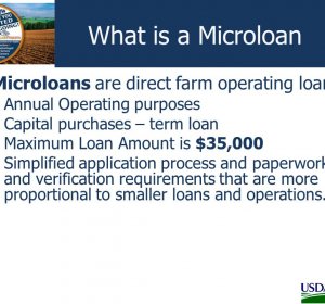 What is a Microloan?